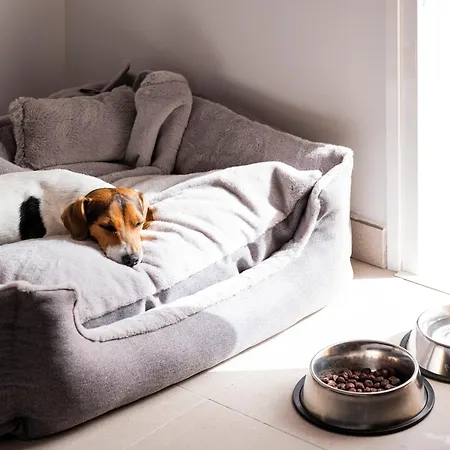 Sholeo Maspalomas 호텔