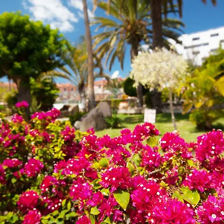 Sholeo Maspalomas *